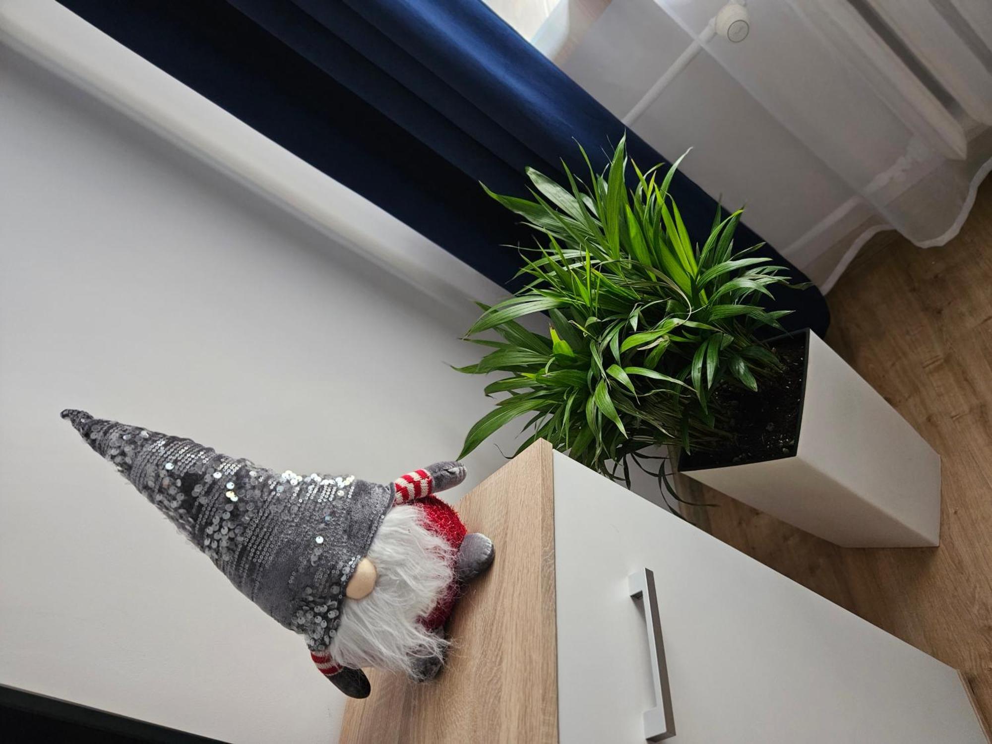 Apartamenty Koktajlove Kielce Rum bild